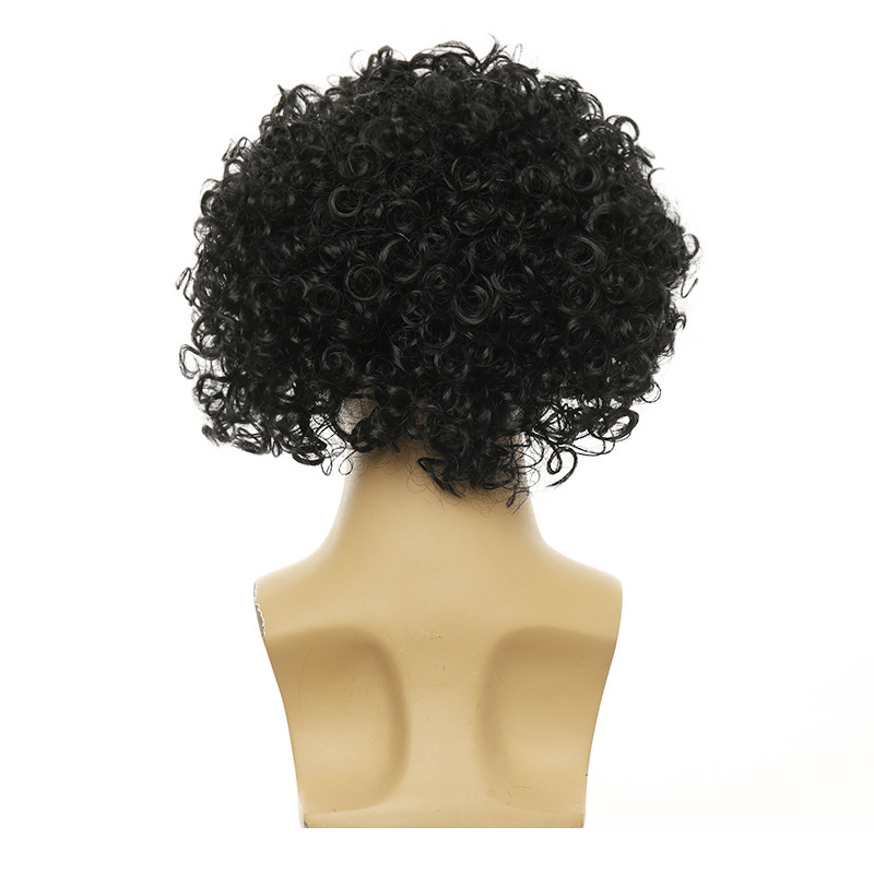 Unisex Big Curly Afro Wig - 3  – Women'S Accessories In The 70S recenzja i cena